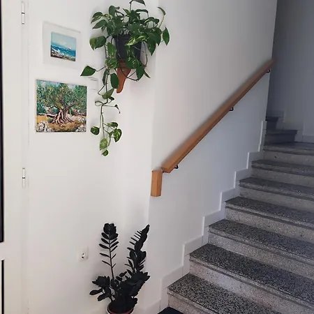 Krstulja *